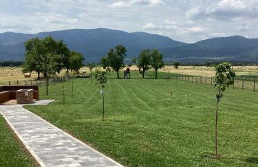 Villa Biser Gacke - Foto 71