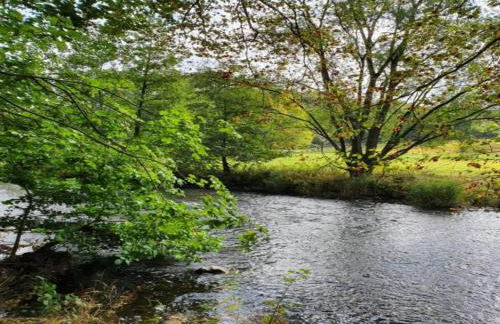 Apartment with terrace and pool in the garden - Foto 35