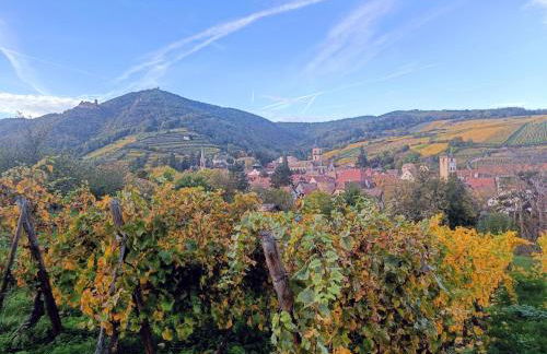 Un balcon sur les toits - Foto 29