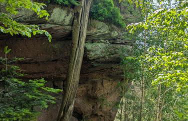 Un étage entier dans une maison - Foto 44