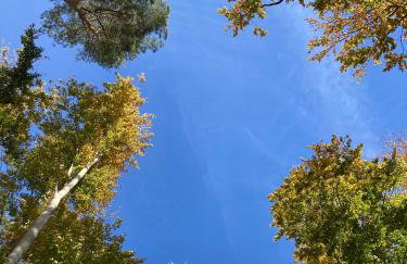 Na Piotrowickiej Przełęczy - Foto 69