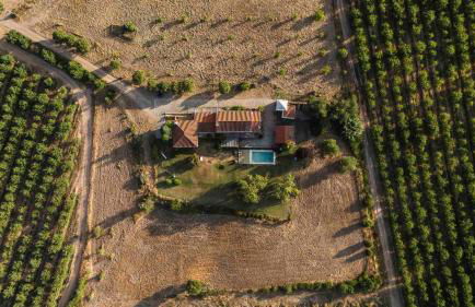 Casa das Jardas - Foto 59