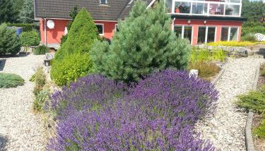 Fewo Kiefernweg - Foto 2