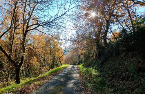 A Casiña do Anselmiño - Foto 23