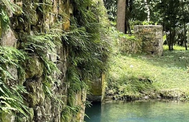 Seacret Studios - Cozy Jamaican Retreat Apts by RedAwning - Photo 20