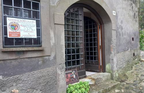 Autenticum Agriturismo Tolfa - Foto 24