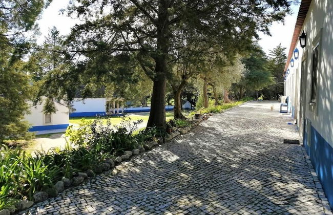 Quinta dos Anjos - Foto 38