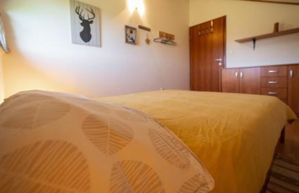 Specious Apartment Manitu in forest countryside - Foto 10