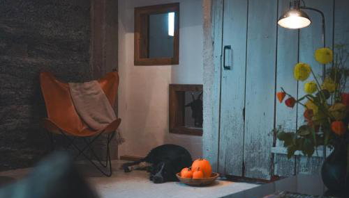 Landurlaub mit neugierigen Blicken in den Pferdestall, eingezäuntem Garten, Kamin und Sauna - Foto 4