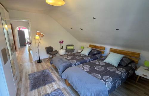 Tolle Ferienwohnung mit Loggia in Schauenstein 100qm bei Hof an der Saale Frankenwald - Foto 22