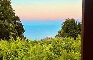 Erato's Nest - Pelion - Photo 1