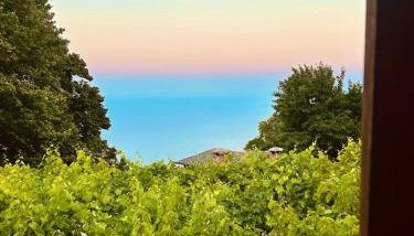 Erato's Nest - Pelion - Foto 1