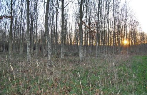 Casa Loisiana - Foto 3