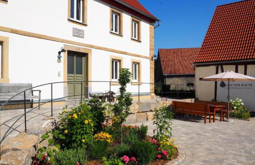 Ferienwohnungen Grüner Baum - Foto 3