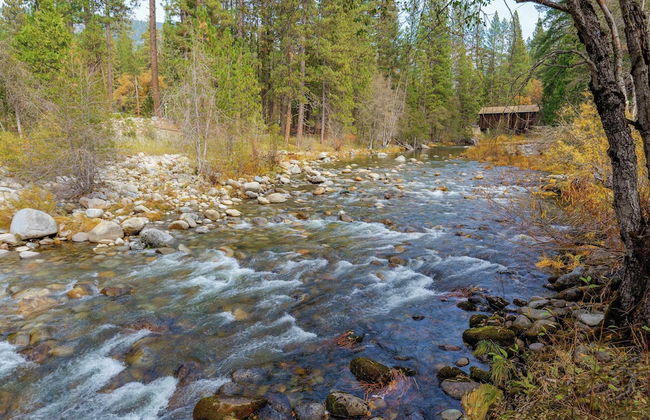 Beautiful 3bd Sanctuary Inside Yosemite! - Foto 18