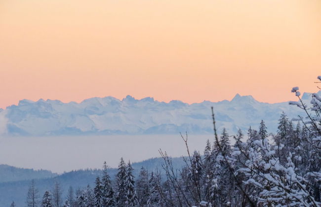 Haus Ganter - Foto 30