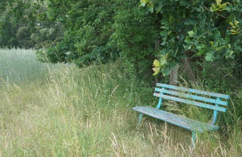 Flämingpanorama - Ländliches Gartenhaus mit Kamin und Naturpanorama - Photo 42