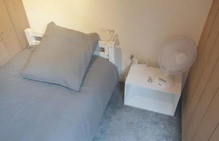 Duplex les Myrtilles LES CARROZ centre station - Photo 30