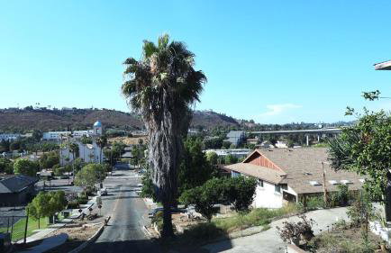 Exotic Homes Gillespie Dr by SD stay - Foto 24