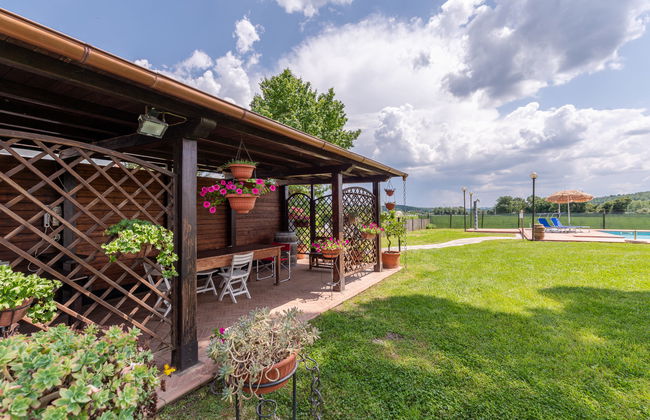 Marinpietri - Foto 6