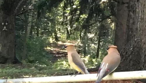 Picturesque Cabin Retreat with Private Sauna near New Richmond, Wisconsin - Foto 5