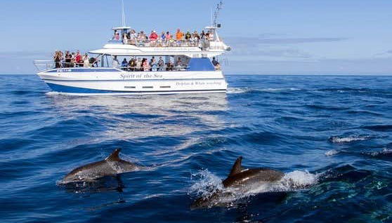 Navegando pelo Atlântico