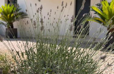 Villa Baou Evasion Provence - Foto 6