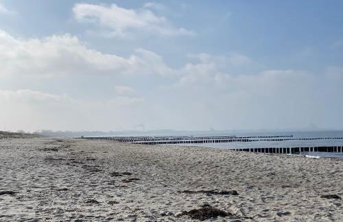 Strandliebe Markgrafenheide - Foto 23
