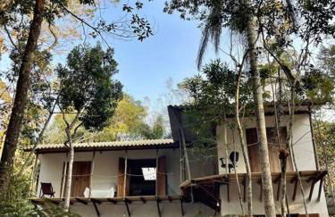 Bosque na Montanha Encantada - Foto 21