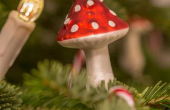 Ferienhaus Rote Sau - Foto 27