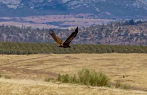 Casa Rural Tita Sacramento - Foto 50