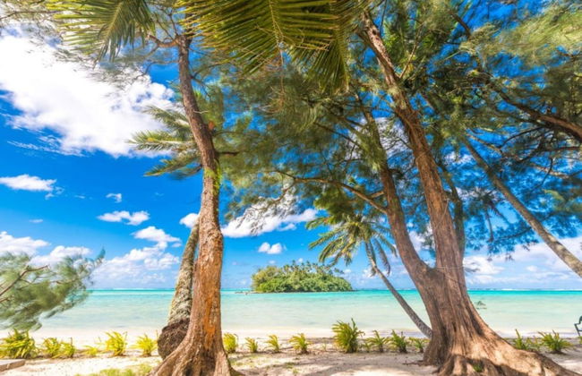 Cook Islands Holiday Villas Muri - Foto 15