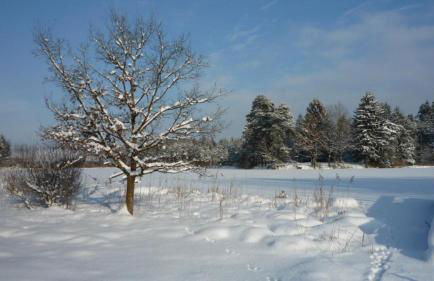 Ferienwohnung Kollmann - Foto 8