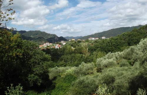 Luce Stellata - Foto 21