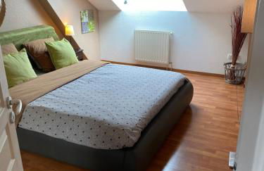 La Gentiane bleue, vue lac Saint Point - Foto 17