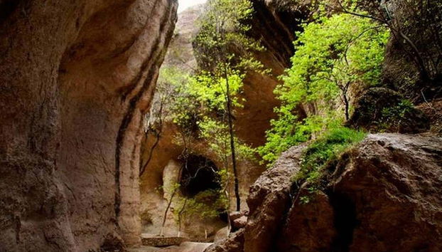 Excursión al Cañón de Namúrachi - Foto 5