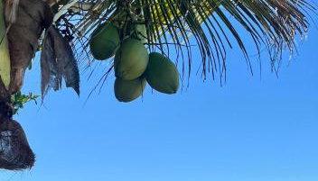 Casamar Brasil - Foto 5