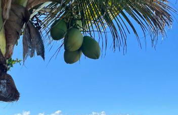 Casamar Brasil - Photo 5