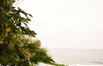 Hacienda El Socorro - Foto 41