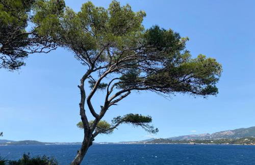 Duplex Eden Park - Foto 17