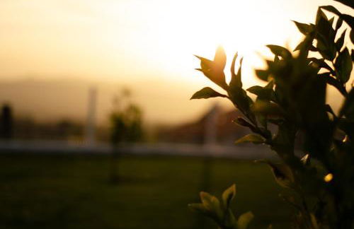 Casa Leite - Foto 16