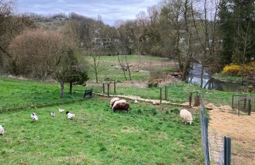 FeWo Sirona - Foto 10