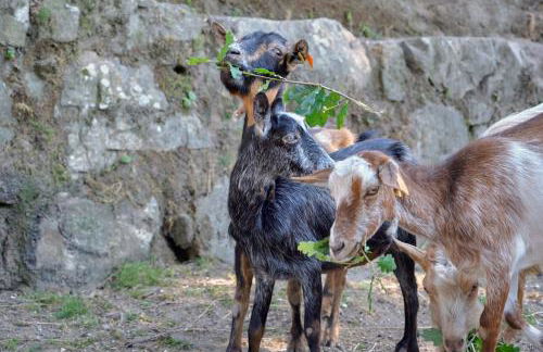 Quinta de Silharezes, Lda - Foto 43