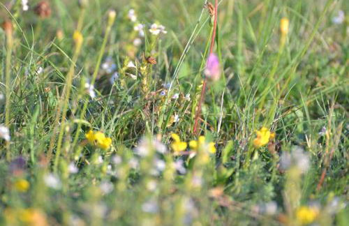 Ferienwohnung Pramstaller - Foto 20