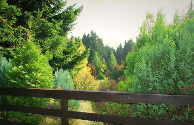 Holiday Home With Terrace - Foto 34