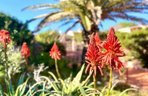 Villa Ginestra - Foto 35