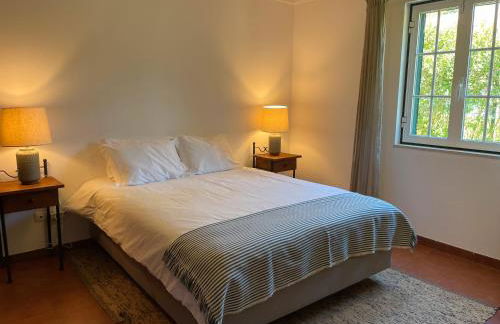 Casa dos Pinheiros - Foto 15