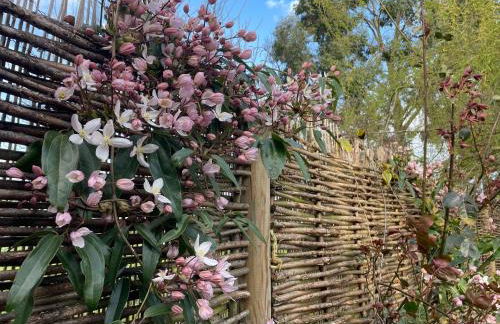 Mustard Pot Cottage - Foto 9