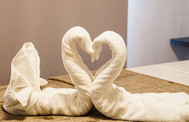 Fontes da Pipa by Liiv - Photo 15