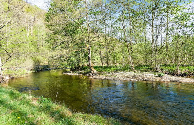 Holiday Home in Porcheresse Daverdisse - Photo 39